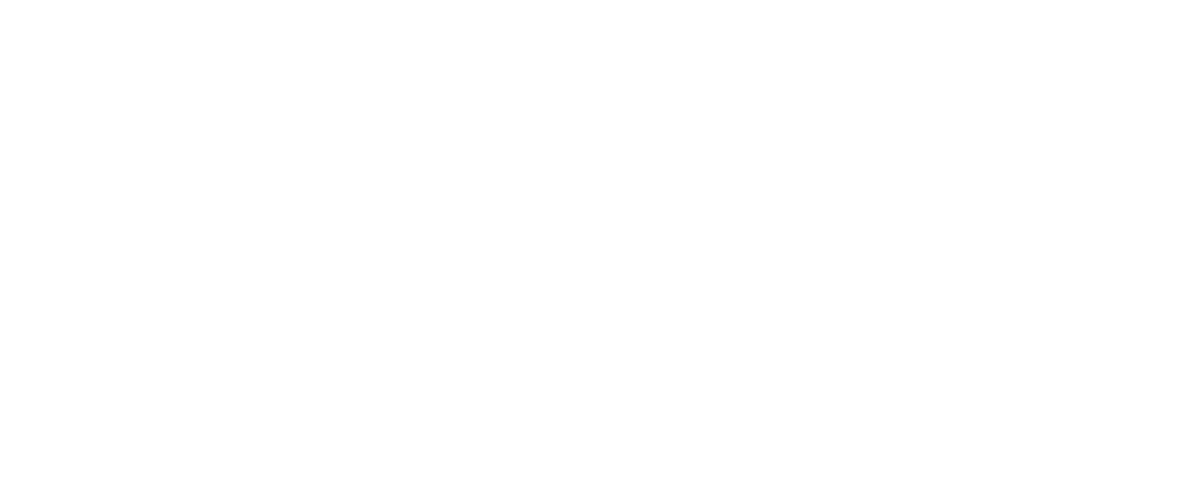 Logo RD Solutec